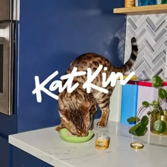 kund katkin